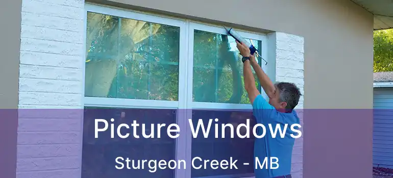  Picture Windows Sturgeon Creek - MB