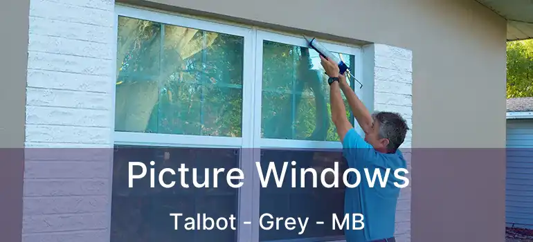  Picture Windows Talbot - Grey - MB