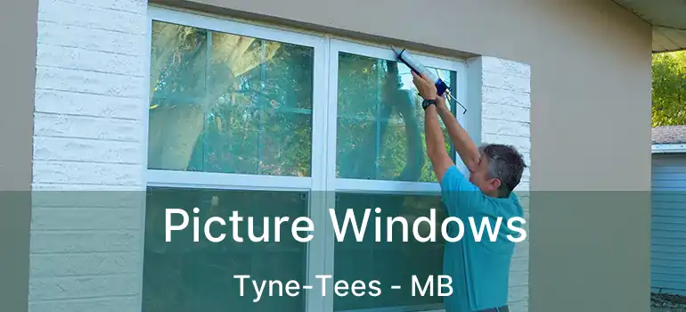  Picture Windows Tyne-Tees - MB