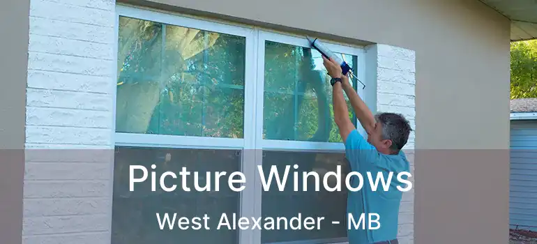  Picture Windows West Alexander - MB