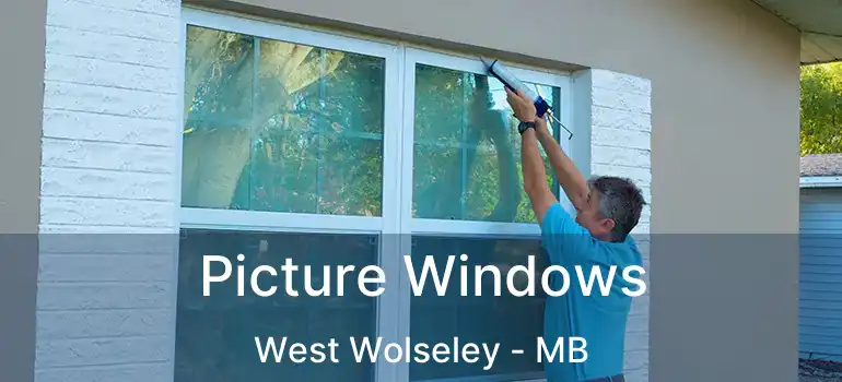  Picture Windows West Wolseley - MB