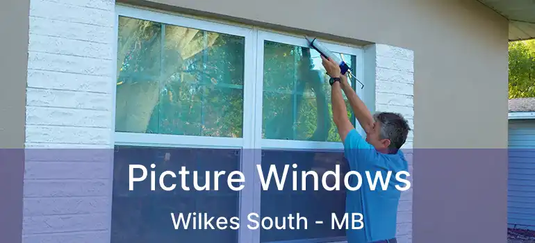  Picture Windows Wilkes South - MB