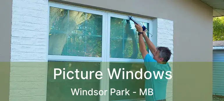  Picture Windows Windsor Park - MB