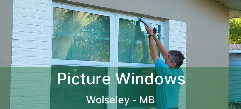  Picture Windows Wolseley - MB