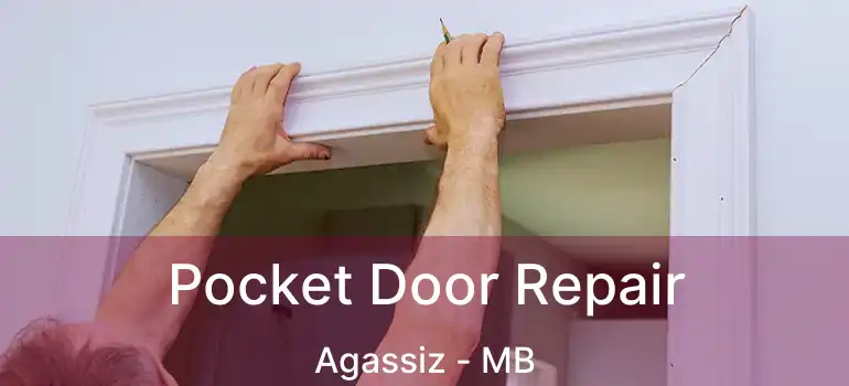  Pocket Door Repair Agassiz - MB
