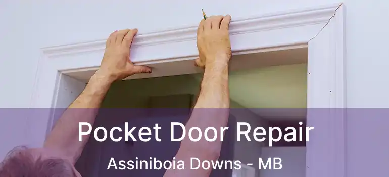  Pocket Door Repair Assiniboia Downs - MB