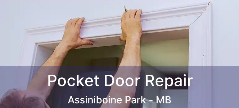  Pocket Door Repair Assiniboine Park - MB