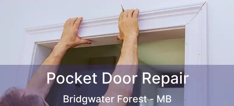  Pocket Door Repair Bridgwater Forest - MB