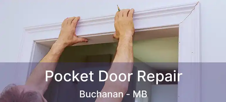  Pocket Door Repair Buchanan - MB