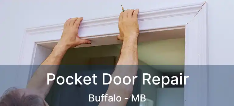  Pocket Door Repair Buffalo - MB