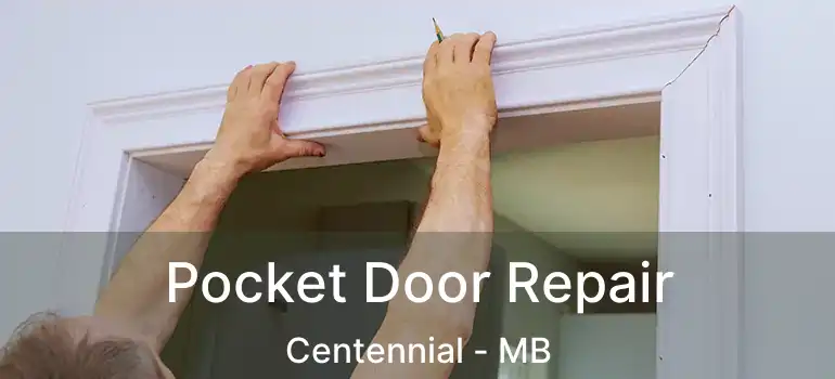  Pocket Door Repair Centennial - MB