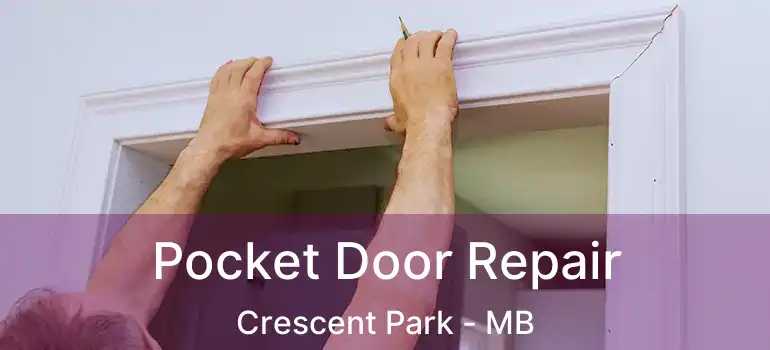 Pocket Door Repair Crescent Park - MB