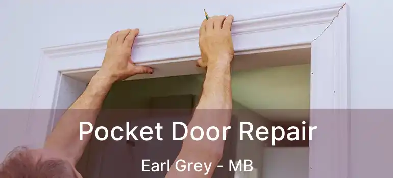  Pocket Door Repair Earl Grey - MB