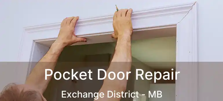  Pocket Door Repair Exchange District - MB
