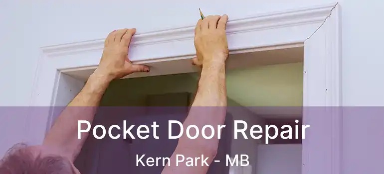 Pocket Door Repair Kern Park - MB