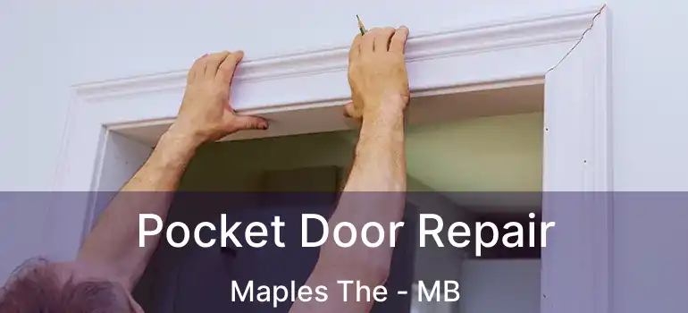  Pocket Door Repair Maples The - MB
