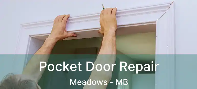  Pocket Door Repair Meadows - MB