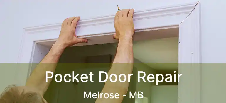  Pocket Door Repair Melrose - MB