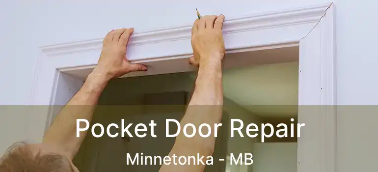  Pocket Door Repair Minnetonka - MB