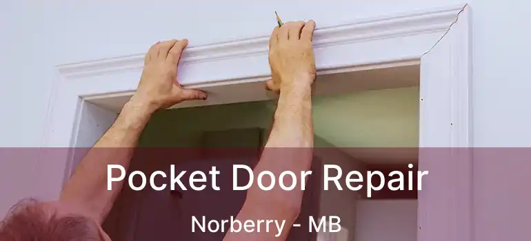  Pocket Door Repair Norberry - MB