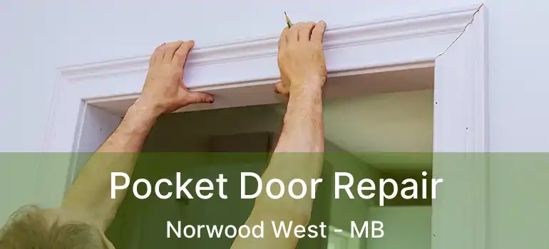  Pocket Door Repair Norwood West - MB