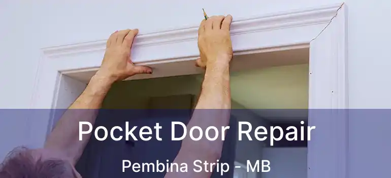  Pocket Door Repair Pembina Strip - MB