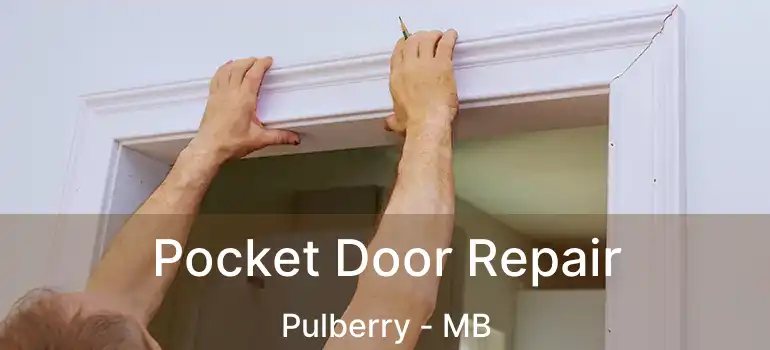  Pocket Door Repair Pulberry - MB