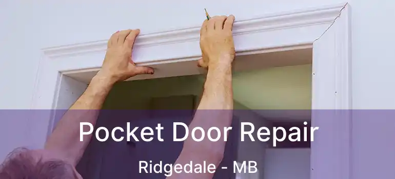  Pocket Door Repair Ridgedale - MB