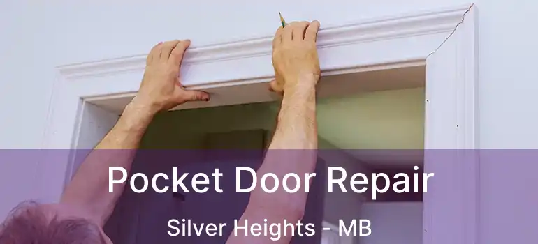  Pocket Door Repair Silver Heights - MB