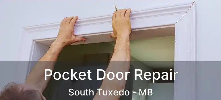  Pocket Door Repair South Tuxedo - MB