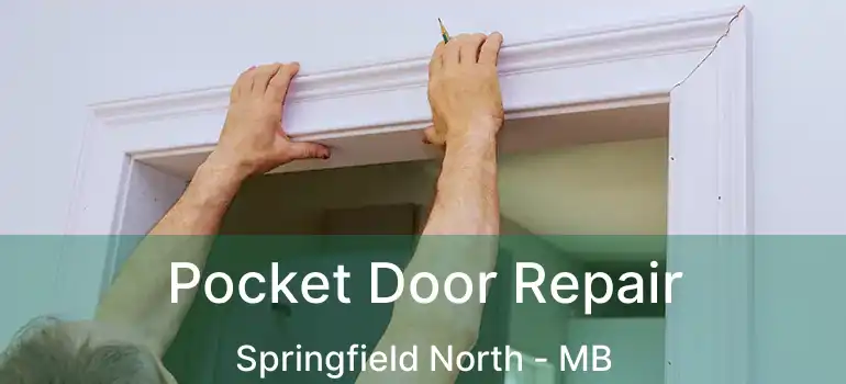  Pocket Door Repair Springfield North - MB