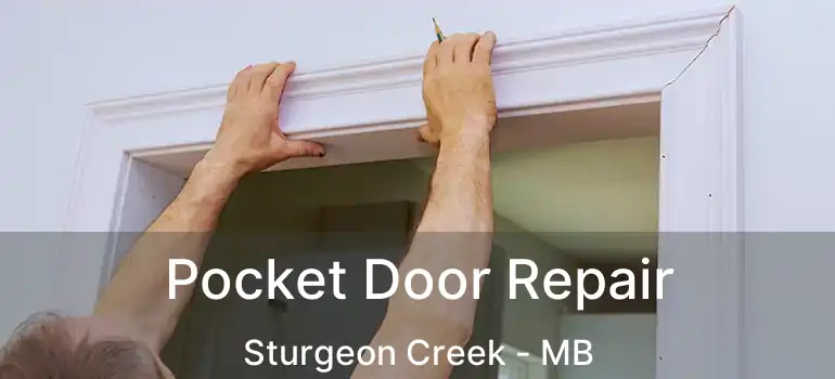  Pocket Door Repair Sturgeon Creek - MB