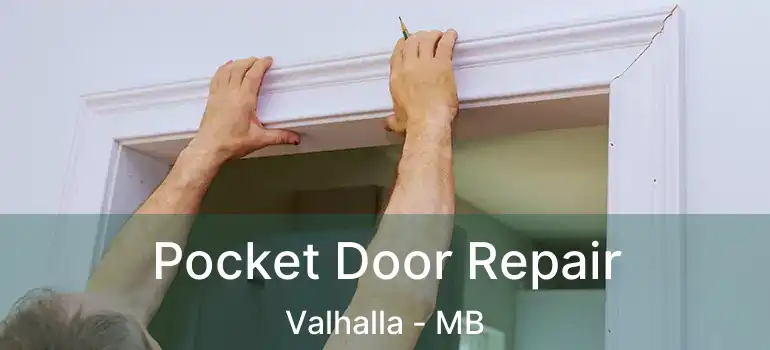  Pocket Door Repair Valhalla - MB