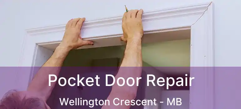  Pocket Door Repair Wellington Crescent - MB