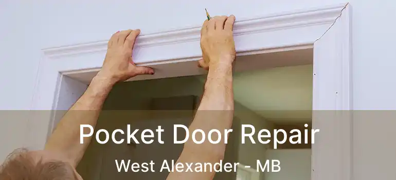  Pocket Door Repair West Alexander - MB