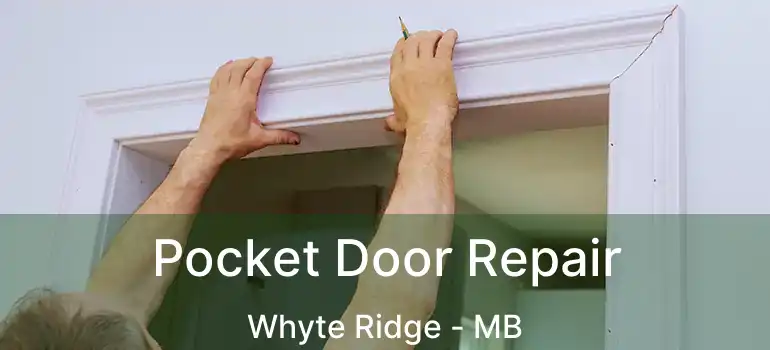  Pocket Door Repair Whyte Ridge - MB