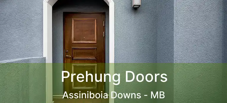  Prehung Doors Assiniboia Downs - MB