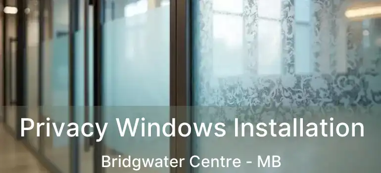  Privacy Windows Installation Bridgwater Centre - MB