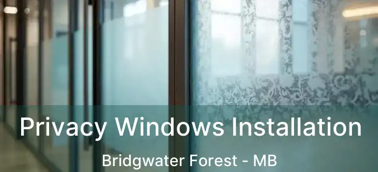  Privacy Windows Installation Bridgwater Forest - MB