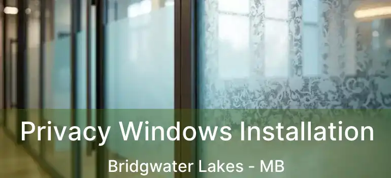  Privacy Windows Installation Bridgwater Lakes - MB