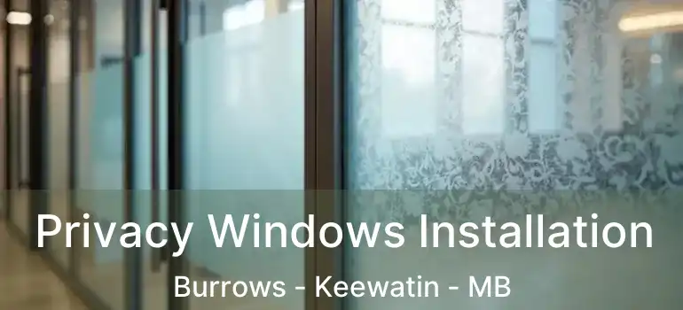  Privacy Windows Installation Burrows - Keewatin - MB