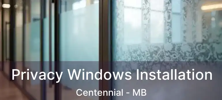  Privacy Windows Installation Centennial - MB