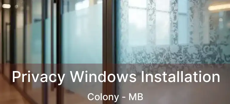  Privacy Windows Installation Colony - MB
