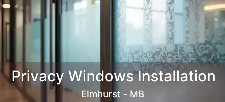  Privacy Windows Installation Elmhurst - MB