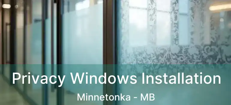  Privacy Windows Installation Minnetonka - MB