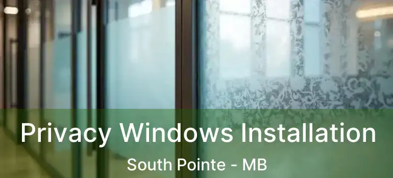  Privacy Windows Installation South Pointe - MB