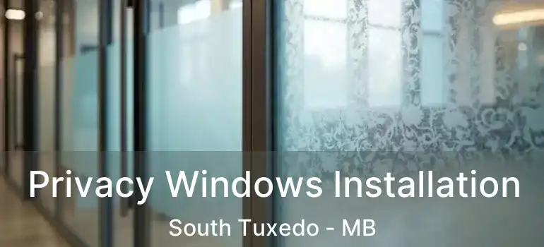  Privacy Windows Installation South Tuxedo - MB