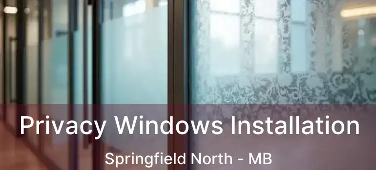  Privacy Windows Installation Springfield North - MB