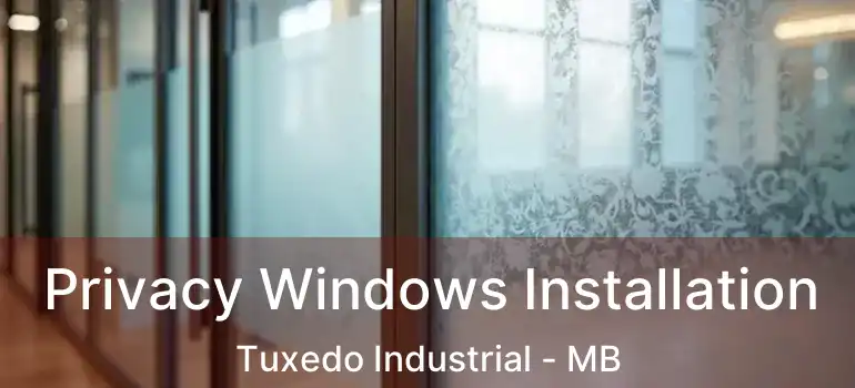  Privacy Windows Installation Tuxedo Industrial - MB