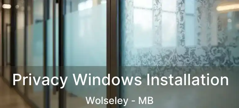  Privacy Windows Installation Wolseley - MB